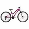 Bicicleta Junior Wolfbike EVS "24" Chica Morado 1 Bicicleta Junior Wolfbike EVS "24" Chica Morado -Bicicletas Ventas 2023 bicicleta wolfbike evs 24 chica morado