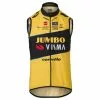 CHALECO AGU CORTAVIENTO TEAM JUMBO-VISMA Talla M